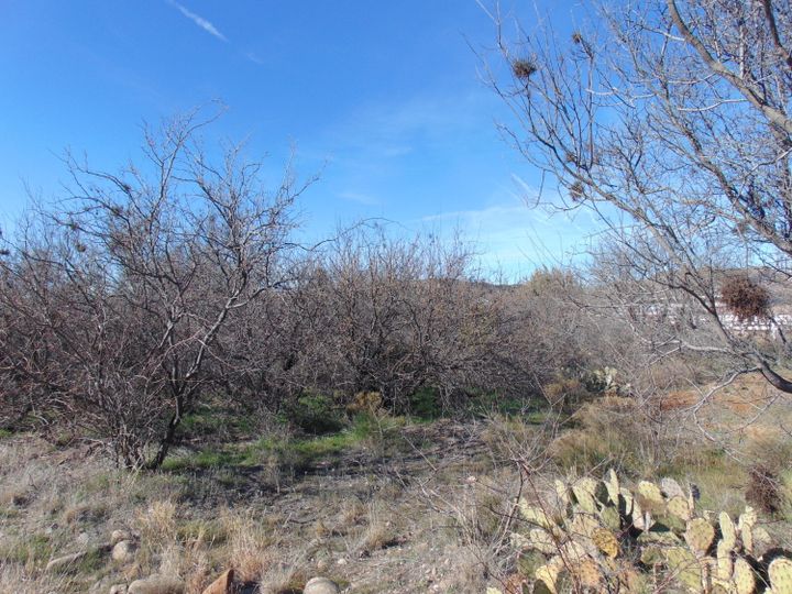 4040 E Creek Vw, Camp Verde, AZ | Clear Crk W1 | Clear Crk W1. Photo 1 of 6