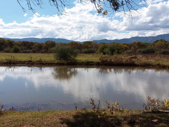 4470 W Middle Verde Rd, Camp Verde, AZ | 5 Acres Or More. Photo 11 of 20