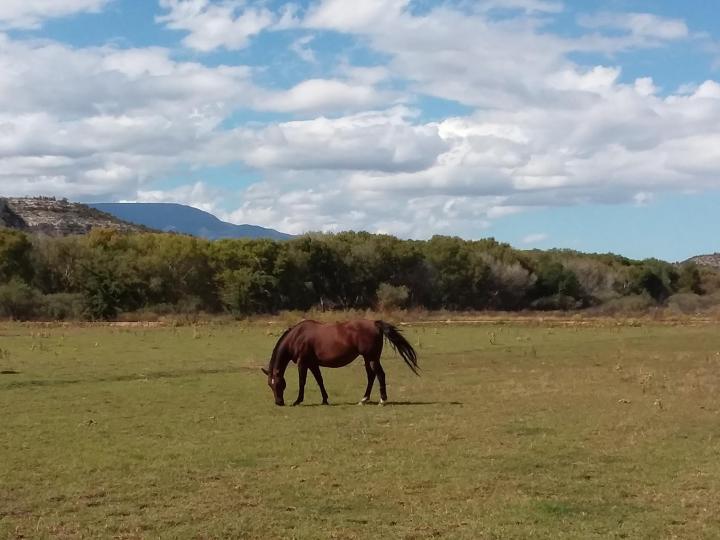 4470 W Middle Verde Rd, Camp Verde, AZ | 5 Acres Or More. Photo 3 of 20