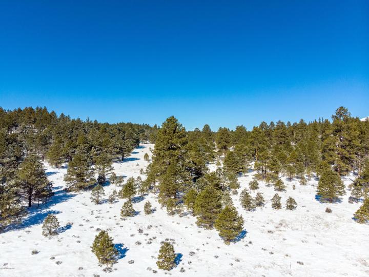 4690 Lake Mary Rd, Flagstaff, AZ | 5 Acres Or More. Photo 44 of 52