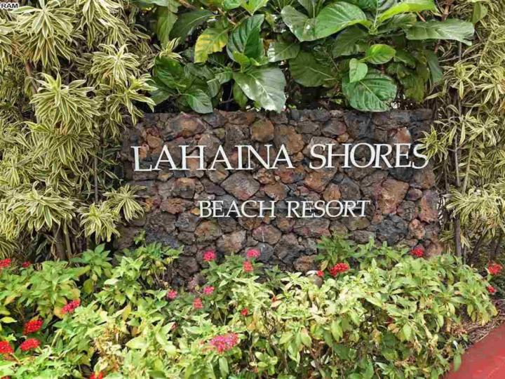 Lahaina Shores condo #312. Photo 8 of 30