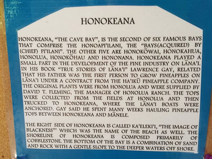 Honokeana Cove condo #113. Photo 16 of 16