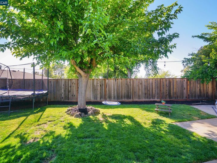 5542 Montana Dr, Concord, CA | Clayton Highland. Photo 25 of 27