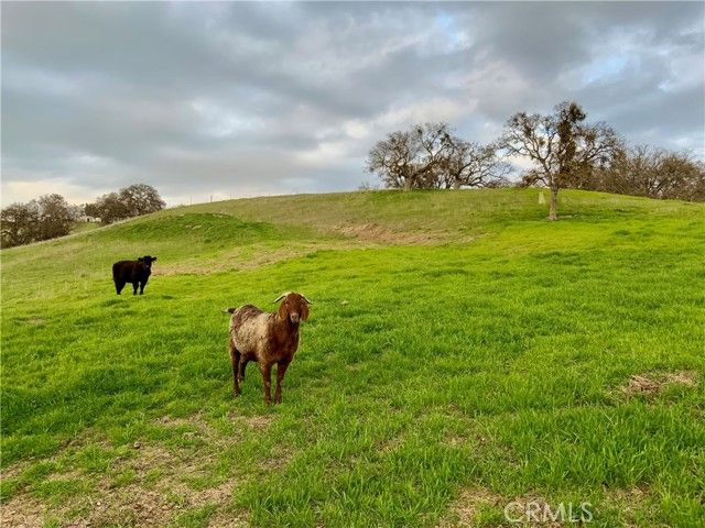 73075 Indian Valley Rd, San Miguel, CA | . Photo 26 of 30