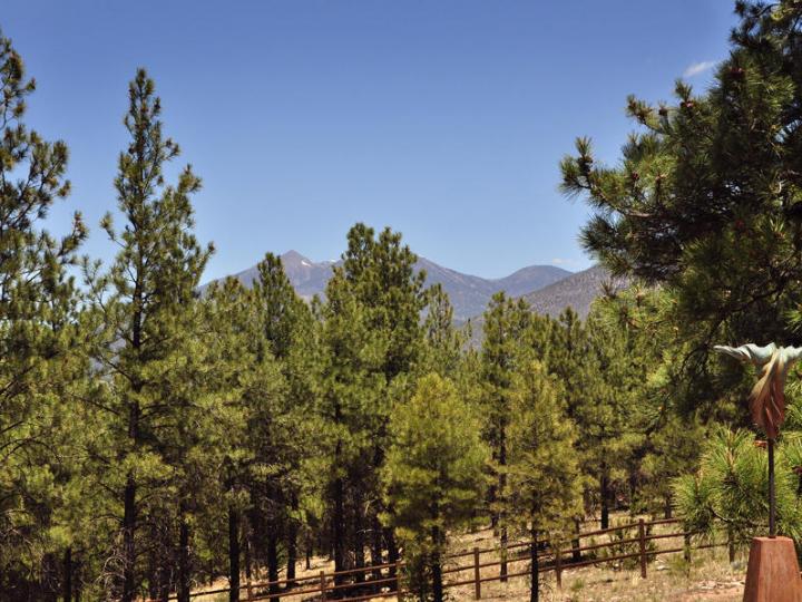 96 N Lake Hills Dr, Flagstaff, AZ | 5 Acres Or More. Photo 40 of 43