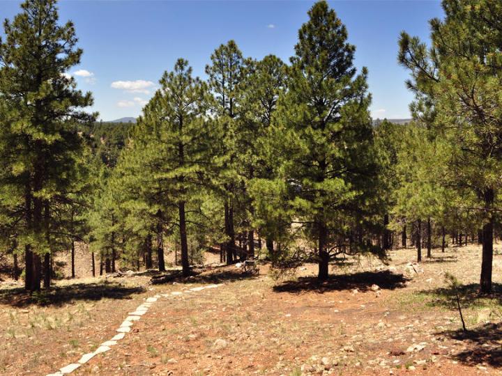 96 N Lake Hills Dr, Flagstaff, AZ | 5 Acres Or More. Photo 41 of 43