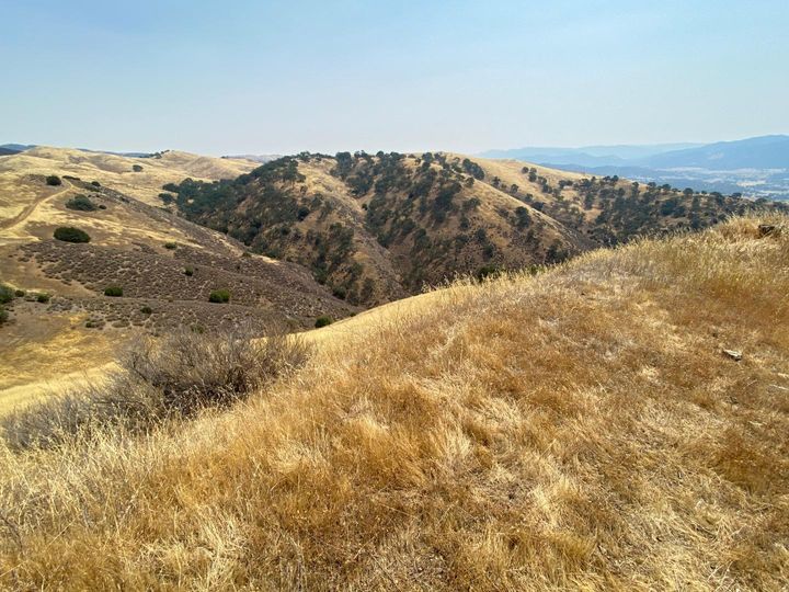 Lot 21 Panoche Rd Paicines CA. Photo 19 of 26