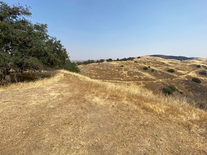 Lot 21 Panoche Rd Paicines CA. Photo 20 of 26