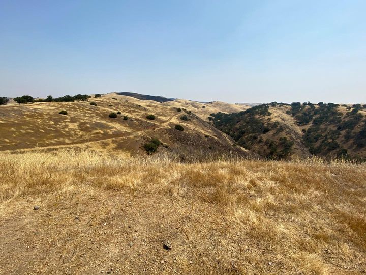 Lot 21 Panoche Rd Paicines CA. Photo 21 of 26