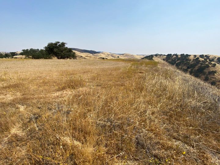 Lot 21 Panoche Rd Paicines CA. Photo 22 of 26