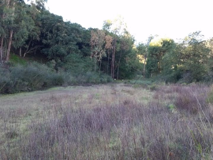 River Rd Gonzales CA. Photo 26 of 39