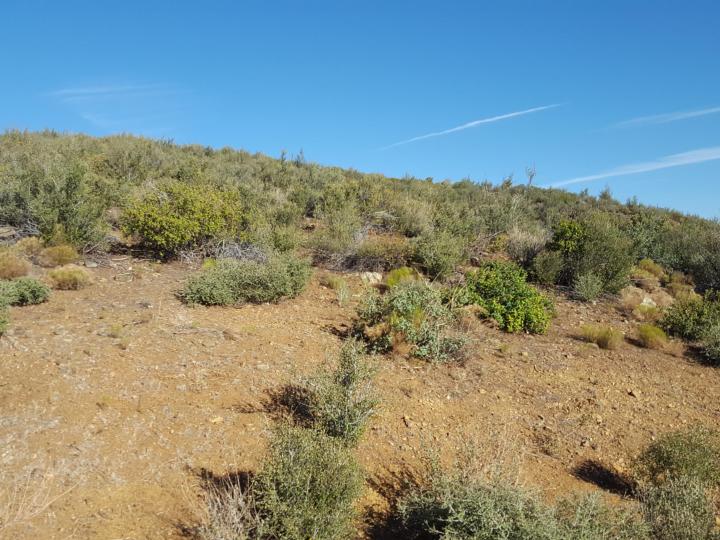 S Elizabeth Mine Rd, Dewey, AZ | 5 Acres Or More | 5 Acres or More. Photo 23 of 31