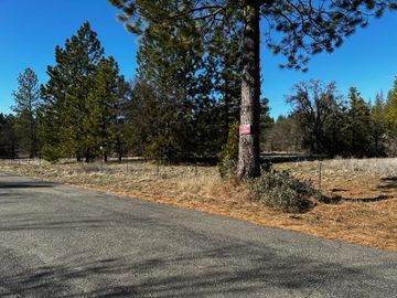 Dogtown Rd Coulterville CA. Photo 2 of 10