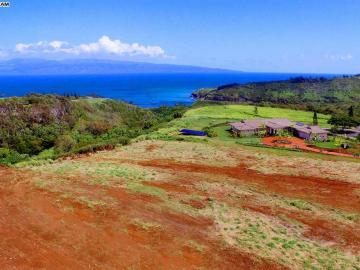 101 Keoawa Pl #Honolua Ridge I, # 4, Plantation Estates, HI