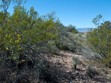 11725 E Plateau Dr, Cornville, AZ | Under 5 Acres. Photo 5 of 19