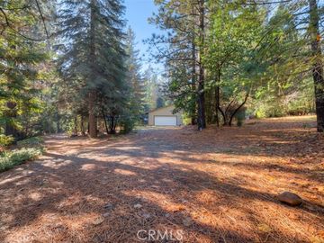 15 Kirsty Crescent Ct, Forbestown, CA
