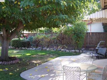 168 Albatross Ave, Livermore, CA | Old North Side. Photo 4 of 16