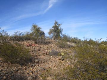 1680 S Mountain View Rd, Cornville, AZ | Mtn View Rchs | Mtn View Rchs. Photo 5 of 8