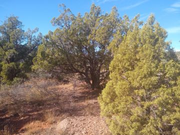 313 Acacia Dr, Sedona, AZ | Mystic Hills 1 - 4. Photo 2 of 12