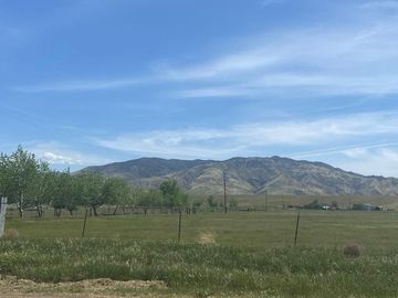 33941 Panoche Rd, Paicines, CA | . Photo 4 of 36