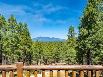 3727 N Erie St, Flagstaff, AZ | 5 Acres Or More. Photo 2 of 74