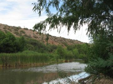 420 River Dr, Clarkdale, AZ | Patio Pk Sub. Photo 4 of 42