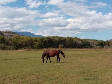 4470 W Middle Verde Rd, Camp Verde, AZ | 5 Acres Or More. Photo 3 of 20