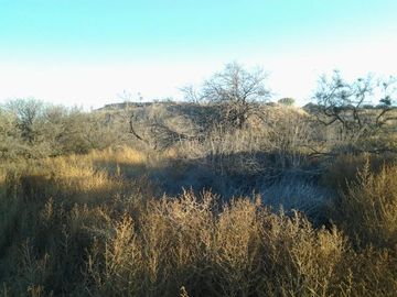 4551 Old Hwy 279, 5 Acres Or More, AZ