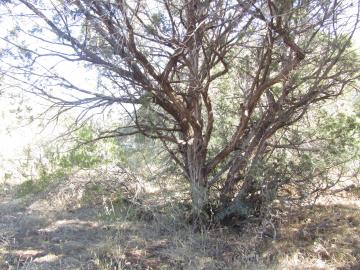 4845 E Cochise Dr, Rimrock, AZ | Wickiup Mesa. Photo 6 of 11