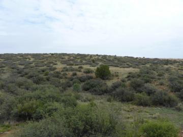 9180 Wolf Rd, Dewey, AZ | 5 Acres Or More | 5 Acres or More. Photo 6 of 36