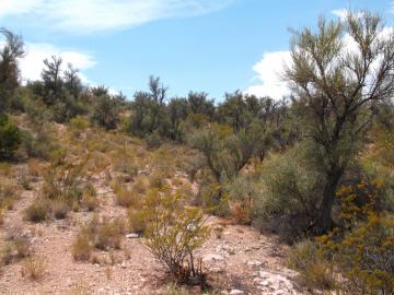 9700 E Raby Heights Dr, Cornville, AZ | Under 5 Acres. Photo 6 of 8