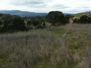 Brodia Way Walnut Creek CA. Photo 3 of 6