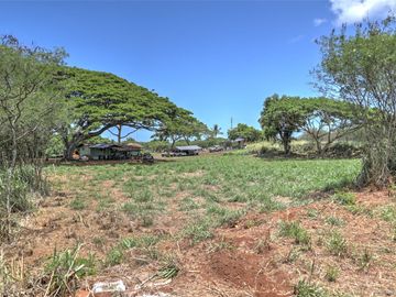 N/A Kamehameha Hwy #A-1, Haleiwa, HI